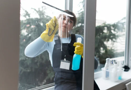 Nettoyage de vitres intérieures et extérieures à Ligugé